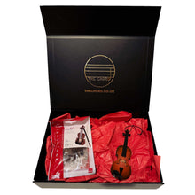 Load image into Gallery viewer, Violin Gift Set:  Nanoblock Violin and Violin Christmas Ornament Gift Set